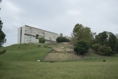 DSCF7233